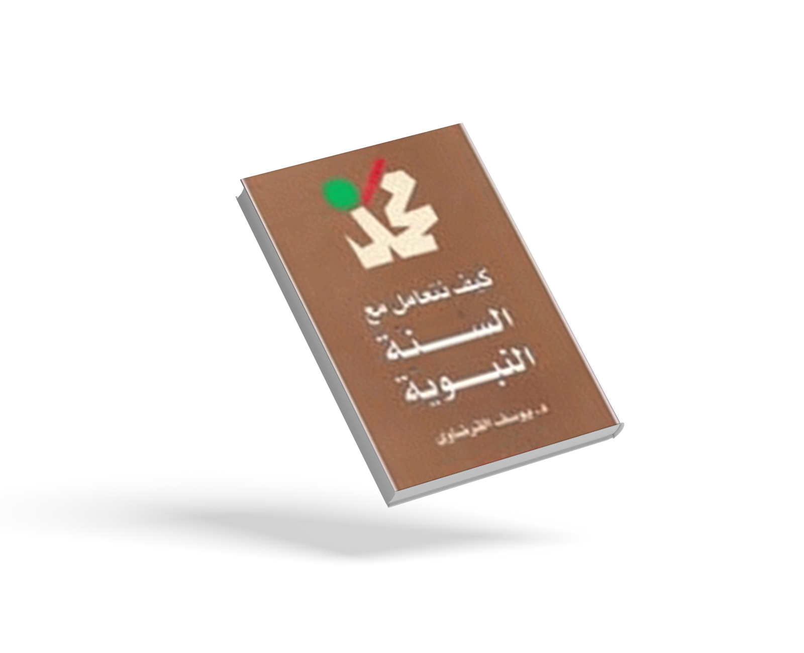 كيف نتعامل مع السنة النبوية
